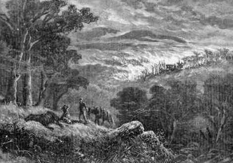 Bushfires in Victoria 1851  Black Thursday 